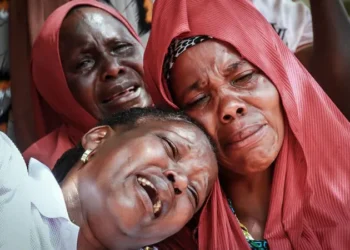 Coups, Elections and Protests: A Difficult Year for Democracy in Africa