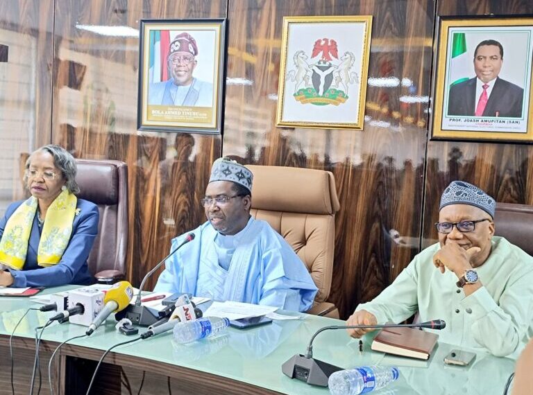 INEC Clears Only Two Associations for Final Party Registration Stage