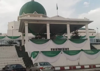 National Assembly Directs Release of Certified Tax Laws, Launches Probe