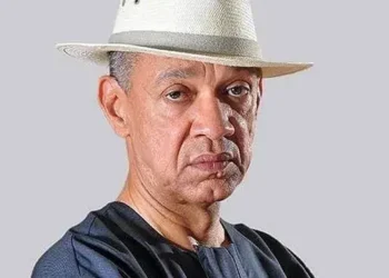 Murray-Bruce Commends Trump–Tinubu Collaboration, Says Nigeria Has Limited Resources to Fight ISIS