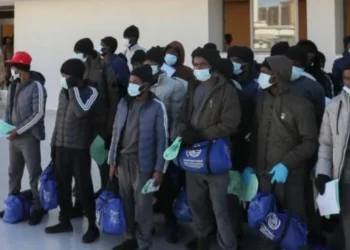 Canada Deports 366 Nigerians as 974 Await Removal