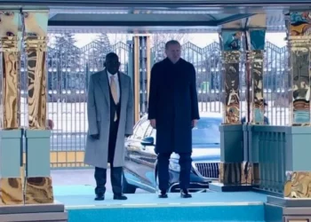 VIDEO: Tinubu briefly stumbles during reception in Türkiye