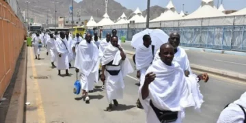2026 Hajj: States, Tour Operators Seek Increase in Nigeria’s Pilgrimage Slots