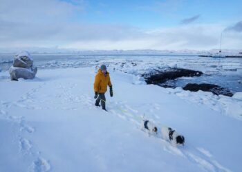 Why Donald Trump Wants Greenland — Despite Its Ice, Isolation and Tiny Population